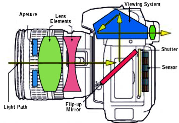 DSLR Camera Exposed View